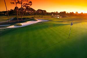 Read More About Plantation Bay Golf & Country Club