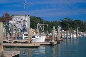 Discovery Packages available at Rivermist at Dutchman Village in Southport, North Carolina
