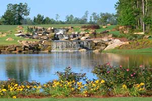 This Del Webb 55+ community near Atlanta offers an active lifestyle in Griffin, GA. See photos and get info on homes for sale.