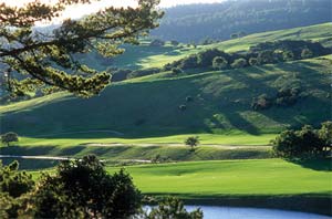 Return to the Tehama Feature Page