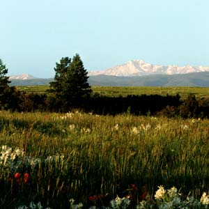Discovery Packages available at Tessa Mesa in Castle Rock, Colorado