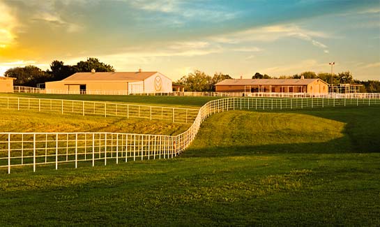 Read More About The Bridges at Preston Crossings