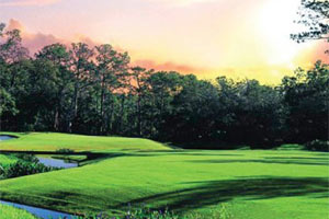 The Concession is a gated country club community located an hour south of downtown Tampa, in Bradenton, Florida. See photos and get info on homes for sale.