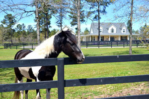 Three Runs Plantation is a 2,400-acre equestrian community in Aiken, South Carolina. See photos and get info on homes for sale.