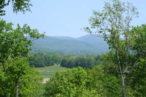 Return to the Vista at Blacksmith Run Feature Page