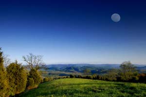 Return to the Walnut Springs Mountain Reserve Feature Page