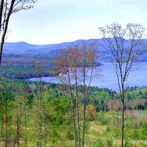 Read More About Water Glen Ridge