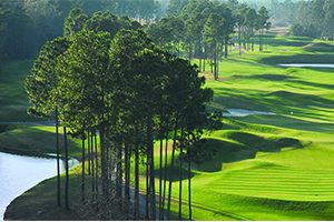 Wild Wing Plantation is a gated golf community in Myrtle Beach, SC. See photos and get info on homes for sale.