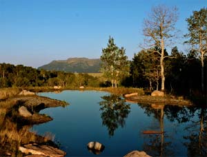 Return to the Wolf Creek Ranch Feature Page