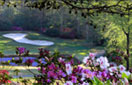 Read more about Sanford, NC Private Community