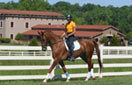 Cheval - Mint Hill, North Carolina