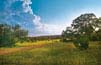 Read more about this New Braunfels, TX Private Community