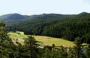 Read more about this Evergreen, CO Private Community