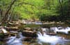 Diamond Falls Estates - Franklin, NC
