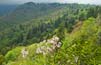 Read more about Marshall, NC Private Community