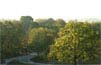 Read more about this Pulaski, TN Private Community