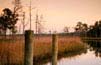 RiverHouse - Georgetown, South Carolina