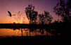 Shadow Lakes - Wills Point, Texas