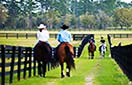 Read more about Lake City, FL Private Community