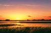 Read more about St. Simons Island, GA Private Community