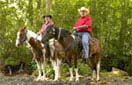 Read more about Burnsville, NC Private Community