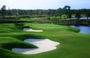 Read more about Naples, FL Private Community
