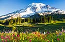 Read more about Bonney Lake, WA Private Community