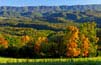 Walnut Springs Mountain Reserve - Lewisburg, WV