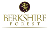 Read more about Berkshire Forest