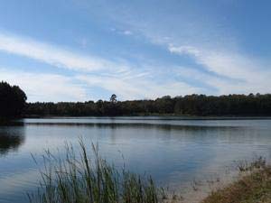 Read More About Hampton Lake