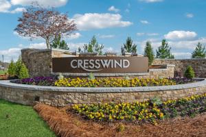 Read More About Cresswind at Spring Haven