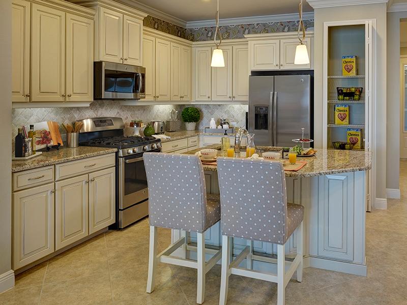 Upgraded Kitchen