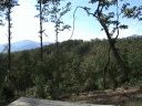 Home site 227