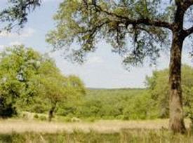 Homesite #616