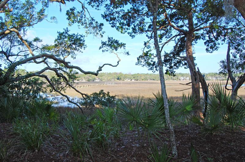 1184 Oyster Catcher Court View