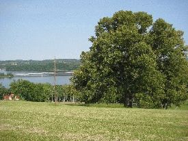 Lot 91
