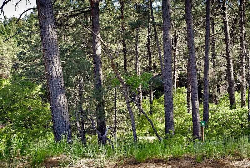 246 Cliffs Edge Drive #10, 0.52 acres; $164,000