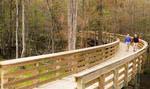 Over 10 miles of Greenway trails and boardwalks wind throughout Hampton Lake
