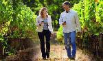 Vintage Oaks at the Vineyard offers a unique wine country lifestyle and the Dry Comal Creek Winery is located across the street