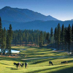 Grizzly Ranch - Portola, California - Located 45-minutes from Lake Tahoe on the northwest edge of the Sierra Valley in Plumas County, California, Grizzly Ranch is a private mountain golf community encompassing 1,040 acres of stunning Alpine terrain. Recreational pursuits include an 18-hole, Bob Cupp-designed championship golf course, a community recreation center, world-class hiking and biking trails, fly fishing, snowshoeing and cross country skiing. Homesites priced from the $200,000's; Homes priced from $850,000.