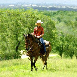 Saddle Creek Forest - Waller, Texas - Pre-development pricing is still available at this idyllic gated equestrian community just north of Houston, which combines the tranquility of refined country living with the many benefits of building near a vibrant metropolitan area. Buyers can choose from a selection of 1 1/2 to 10-acre homesites spread over gently rolling and heavily wooded terrain, with creekside and lakeside lots available. Lots priced from $45,000 to $145,000.