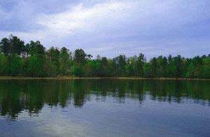 Serenity Pointe - Lincolnton, Georgia - Serenity Pointe offers residents the quiet charm of lakeside living on the shores of Clarks Hill/Thurmond Lake, one of the largest lakes east of the Mississippi. Perfectly situated on the border of Georgia and South Carolina, this low density community includes four beautiful, well-stocked lakes for year round fishing, canoeing and kayaking. 1 to 6-acre lots priced from the $50,000�s to the $300,000�s.