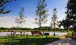 Millville by the Sea
