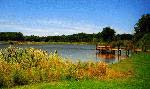 Millville by the Sea