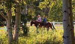 Equestrian Program at Red Ledges