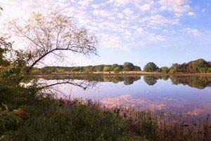 Shadow Lakes - Wills Point, Texas - Huge trees, big lakes and beautiful Texas sunsets. Enjoy the tranquility of country living just 35 miles east of Dallas at Shadow Lakes, featuring a beautiful inventory of acreage homesites complemented by superior infrastructure and deluxe recreational amenities. One- to five-acre lakeside, meadow and wooded lots are priced from $30,000 to the $80'000's, with no time frame to build.