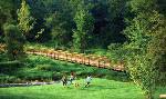 Briar Chapel