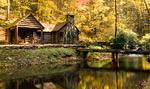 Shoal Falls Farm
