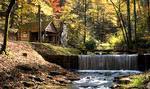 Shoal Falls Farm