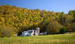 Shoal Falls Farm